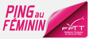 fem_fftt